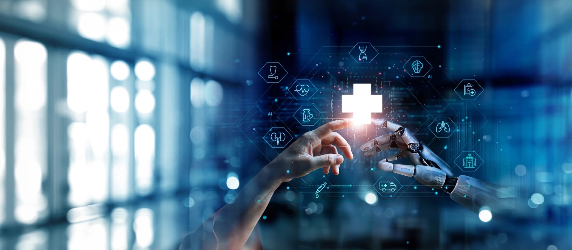 Become a member and enjoy exclusive benefits