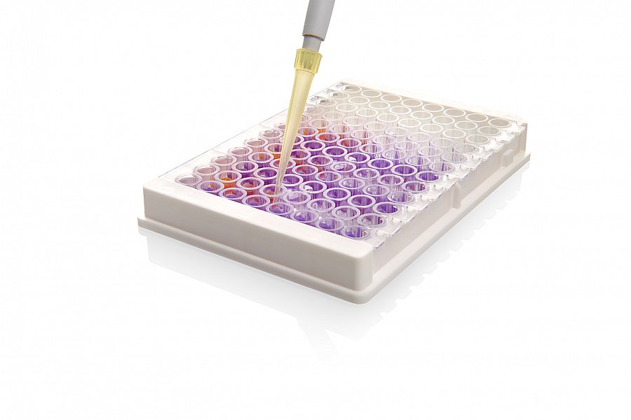 Microbial identification kit