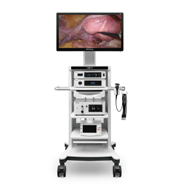 Endoscope Camera System