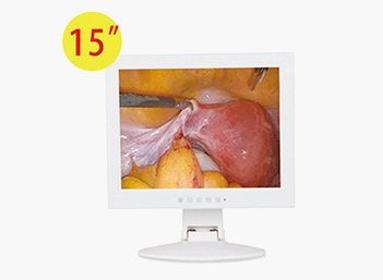 Medical Endoscope Monitor 15＂