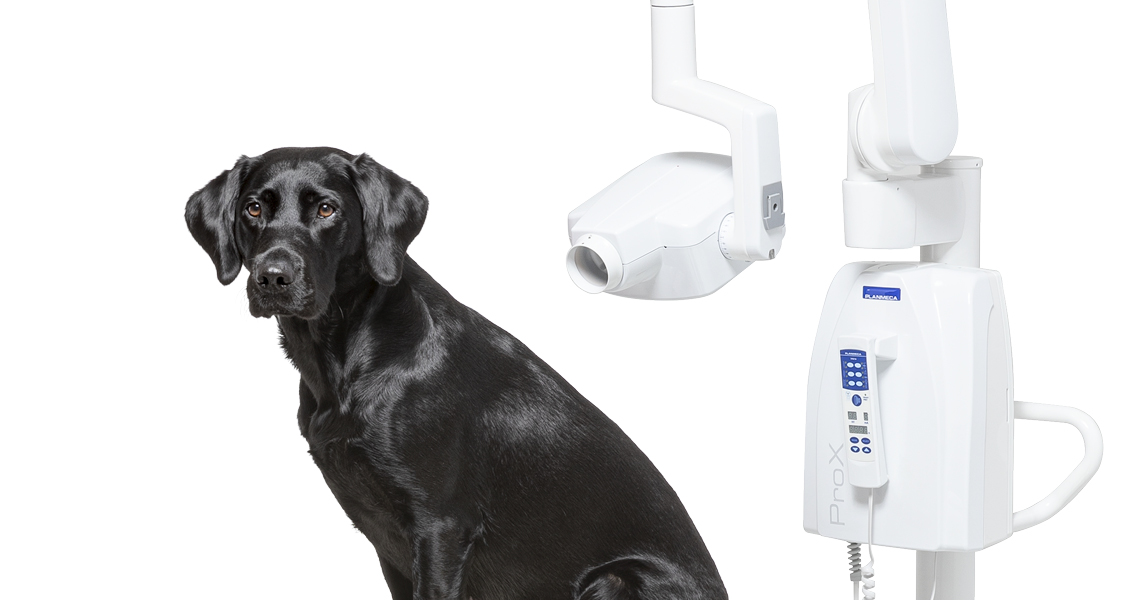 Veterinary intraoral X-ray unit