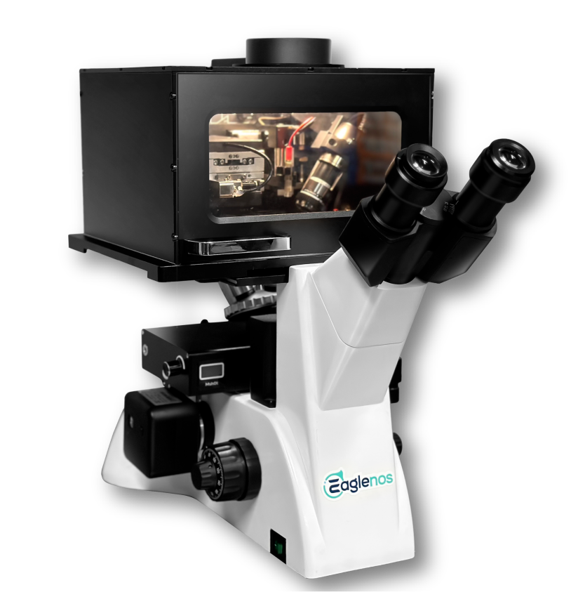 Nanoscale scanning electrochemical analysis system