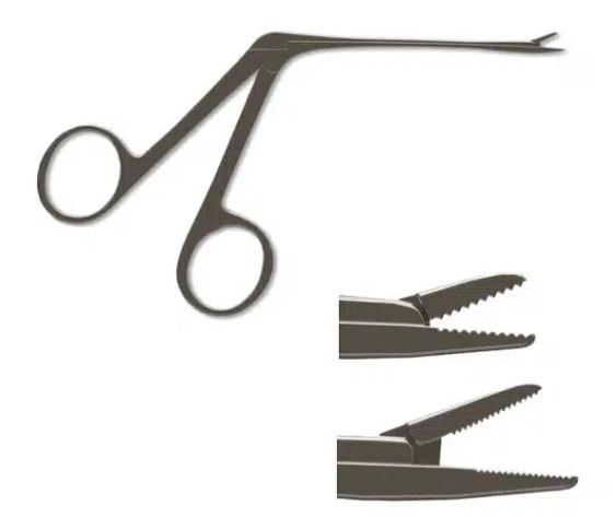 Alligator Forceps