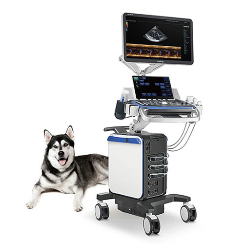 Veterinary Diagnostic Ultrasound System